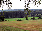 Feld Feld