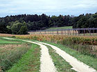 Feldweg Feldweg