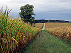 schöner Weg schöner Weg