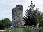Ruine Altmannstein Ruine Altmannstein