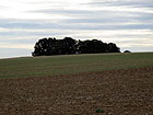 Feld Feld