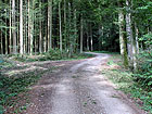 Forstweg Forstweg