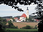Tettenagger Tettenagger