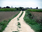 Feldweg Feldweg