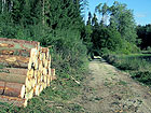 Weg am Waldrand Weg am Waldrand