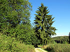 schöner Weg schöner Weg