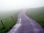 Nebel