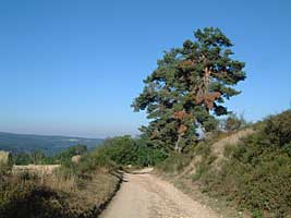 Abstieg vom Tracol Abstieg vom Tracol