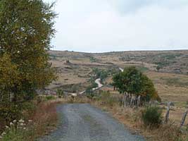 Weg im Aubrac