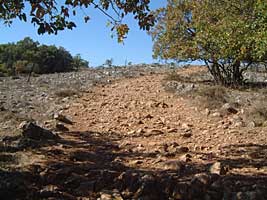 R�merweg nach Atapuerca