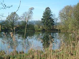 Naturschutzgebiet Bommen Naturschutzgebiet Bommen