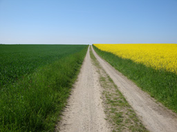 schner Weg vor Schemmerberg